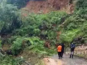 Sekitar 20 Meter Tebing di Sukajaya Bogor Longsor, Jalan Penghubung Desa Tertutup.