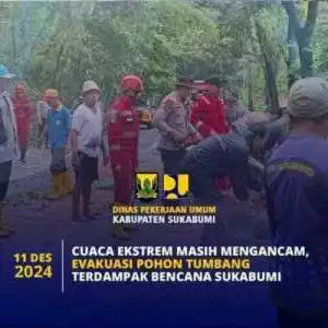 Cuaca Ekstrem Masih Mengancam, Evakuasi Pohon Tumbang Terdampak Bencana Sukabumi