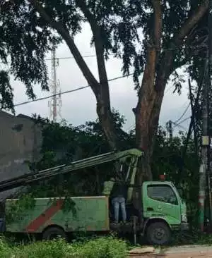 Antispasi Cuaca Ekstrem, Tim Gabungan Kota Tangerang Sigap Tangani Pohon Tumbang