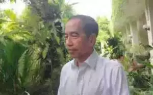 Jokowi sampaikan ucapan Selamat HUT Ke-52 PDIP