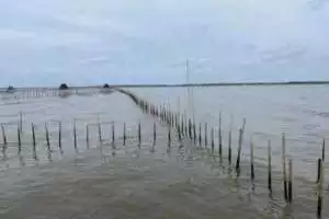 Soal pagar laut di Kabupaten Tangerang, PIK 2 tuding balik warga