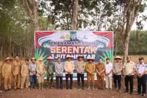 Kapolres OKI dan Pj Bupati OKI Tanam Jagung Serentak di PT Lonsum, Dukung Ketahanan Pangan Nasional