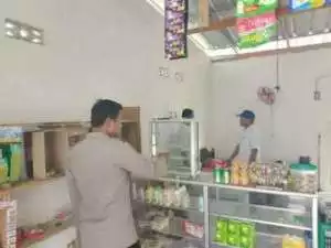 Cegah DBD, Dinkes Sarankan Masyarakat Pelihara Ikan Cupang, Ini Manfaatnya