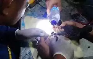 Tanggapi Laporan Masyarakat, BPBD Kota Tangerang Bantu Lepas Cincin di Kaki Burung