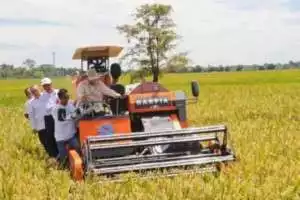 Panen Raya di Majalengka, Prabowo: Tanpa Pangan, Tidak Ada Negara, Tidak ada NKRI