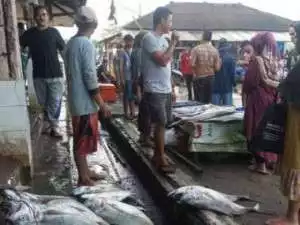 Dinas Perikanan Kab. Sukabumi Mendapatkan Penghargaan Sebagai Persentase Peningkatan Produksi Tertinggi Tahun 2024