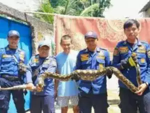 Wabup Jaro Ade Pastikan Setiap Pospam Ada Layanan Kesehatan Gratis Bagi Pemudik.