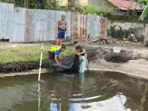 Koramil 1016-01/Pahandut, Memanfaatkan Lahan Kosong Untuk Budidaya Ikan Lele