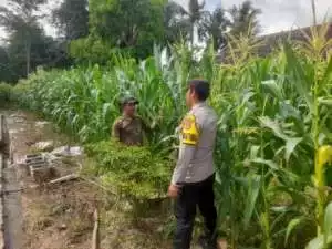 Polsek Semendawai Suku III Ajak Warga Manfaatkan Pekarangan Untuk Ketahanan Pangan