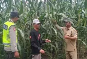 Sinergi Polisi dan Petani, Polsek Semendawai Suku III Dorong Ketahanan Pangan