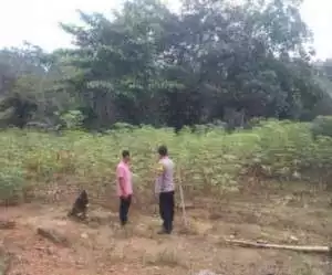Bangun Sinergi Bareng Petani, Polsek SS III Pastikan Program Ketahanan Pangan Sukses