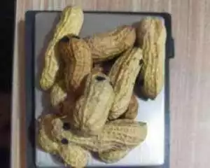 Peredaran Sabu dalam Kacang Kulit, Modus Baru yang Dibongkar Polisi