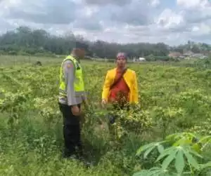 Dukung Ketahanan Pangan, Bhabinkamtibmas Lakukan Pengecekan Tanaman Pangan Cabe