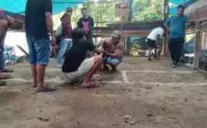 Judi Sabung Ayam di Kali Harapan, Nabire, Aparat Terkesan Tutup Mata