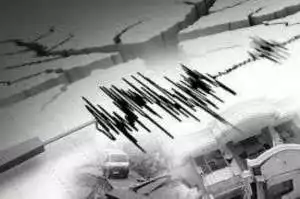Blitar Diguncang Gempa Magnitudo 4,6, Warga Berhamburan Keluar Rumah