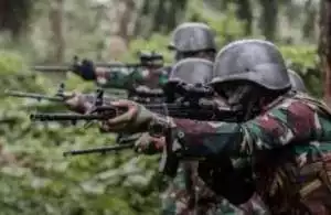 Mantan Kapolsek Mulia di Puncak Jaya Tewas Ditembak KKB