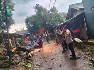Pohon Tumbang Akibat Hujan Deras dan Angin Kencang, Polsek Cileungsi Gercep Turun ke Lokasi.
