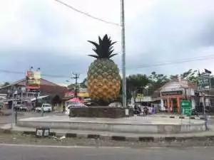 Warga HBR Motik Mohon Walikota Palembang Mencabut Izin Pendirian Tower