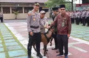 Dandim 0708/Purworejo Hadiri Panen Raya Serentak Padi Bersama Presiden Prabowo Secara Daring