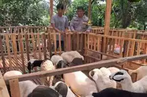 Bhabinkamtibmas Polsek Citeureup monitoring peternak dalam program ketahanan pangan di Desa Puspasari.