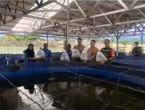Dukung Program P2B, Dinas Perikanan Sukabumi Salurkan Ribuan Benih Ikan Nila ke Desa Kebonpedes