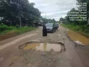 Viral di Medsos, Truk Diduga Angkut Kayu Log Berlebih di Katingan, Dishut Kalteng Lakukan Pemantauan