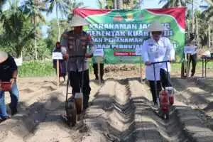 Dukung Ketahanan Pangan dari Program Nasional Polres Purworejo Gelar Penanaman Jagung Kuartal III / T 2025