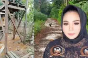 Viral di Medsos, Truk Diduga Angkut Kayu Log Berlebih di Katingan, Dishut Kalteng Lakukan Pemantauan