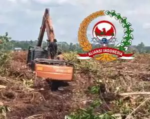 Fahmi Di Duga Penyedia Excavator Merusak Sawit Milik Warga Masyarakat Kampung D.30 Lembaga Aliansi Indonesia Akan Segera Membongkar Kasus Tersebut Sampai Selesai.