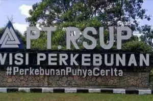 Kejati Riau Pastikan 237 Ha Lahan di PT RSUP Masuk Kawasan Hutan