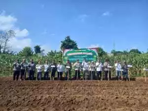 Polsek Caringin Polres Bogor Gelar Penanaman Jagung pipih Dukung Program Swasembada Pangan.
