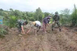 Wujudkan Ketahanan Pangan, Satgas TMMD Tanam Jagung