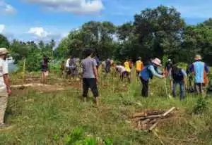 PEMKAB. Sukabumi Tanam 1.000 Bibit Mangrove di Mandrajaya, Perkuat Ekosistem Pesisir dan Ekonomi Nelayan