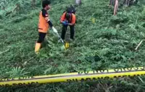 Puluhan Potongan Tubuh Manusia Ditemukan di Lereng Gunung Welirang, Diduga Korban Mutilasi