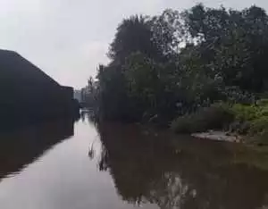 Aktivis Soroti Kinerja Dishub Soal Maraknya Parkir Liar Tongkang Pengangkut Batu Bara