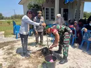 Wujudkan Kelestarian Lingkungan, Babinsa Ikuti Penanaman Pohon