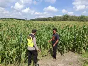 Dukung Asta Cita Presiden Prabowo, Polsek SS III Sambangi Tanaman Warga