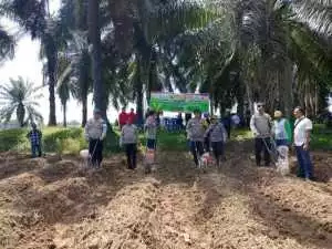 Polsek Semendawai Suku III Cek Progres Tanaman Petani Sukseskan Program Ketahanan Pangan