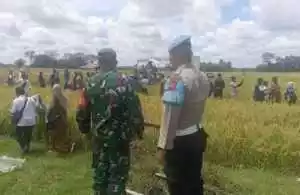 Bhabinkamtibmas Polsek Semendawai Suku III Monitoring Tanaman Petani