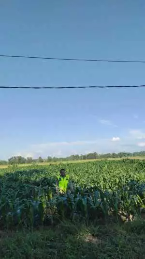 Polsek Semendawai Suku III Perkuat Ketahanan Pangan, Aktif Monitoring Tanaman Petani