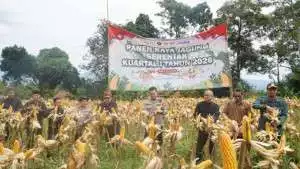 Polres Bogor Dukung Program Ketahanan Pangan Nasional melalui Panen Raya Jagung Serentak Kuartal I Tahun 2026