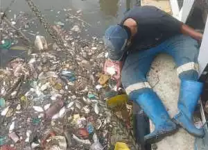 Tercemar kimia, Pemkab Tangerang imbau warga hindari air dan ikan Cisadane
