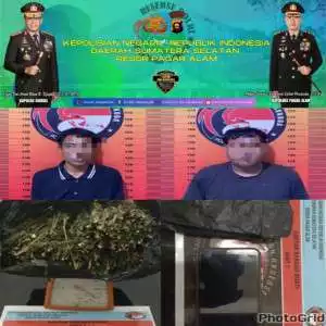 Lagi Lagi Polres Pagar Berhasil Ringkus Pengejar Barang Haram dengan BB 700 gram Ganja
