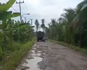 Jalan Suka Damai–Pedamaran I Rusak Parah, Pemkab OKI Dinilai Abai pada Janji Infrastruktur
