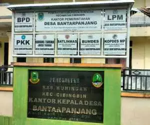 Diduga demi ilegal logging, Kuwu Desa Bantarpanjang, Kuningan, abaikan kewajiban