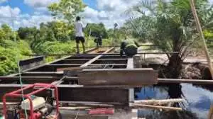 Subandrio Sambut Maung! Sinergi Pemerintah dan Masyarakat Makin Erat di Sekada