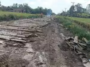 Jalan Kecamatan Muara Telang Rusak Parah, Warga Soroti Ketimpangan Status Lumbung Pangan Nasional