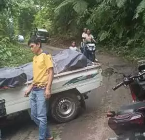 Mobil pikap pengangkut batuan emas kecelakaan di desa Banyuresmi, Cigudeg, Bogor