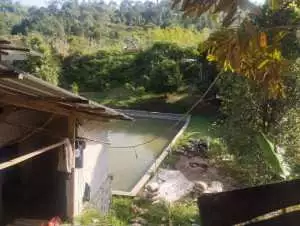 Polsek Nanggung: Tidak ada pengolahan emas ilegal di Gunung Dahu, Bogor