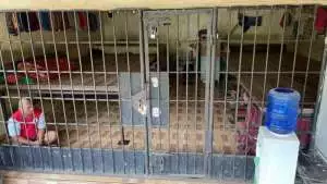 Memori kerangkeng manusia, Bupati Langkat sebelum Syah Afandin juga terjaring OTT KPK